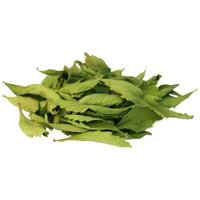 أوراق ستيفيا المجففة - منتج طبيعي من المغرب